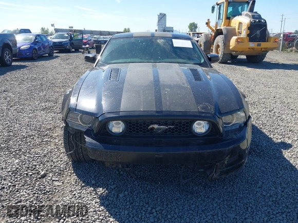 2014 Ford Mustang GT with VIN 1ZVBP8CF5E5201080, listed as a IAAI auction lot 42191392 with 42,701 mi miles and . Bid and sale history available at DreamBid. Image 12.