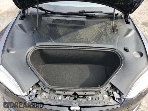 2022 Tesla Model S with VIN 5YJSA1E5XNF471212, listed as a Copart auction lot 57384025 with Not provided miles and Salvage title. Bid and sale history available at DreamBid. Image 11.