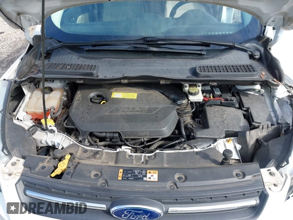 2014 Ford Escape SE with VIN 1FMCU0GXXEUC64892, listed as a IAAI auction lot 42101842 with 128,932 mi miles and . Bid and sale history available at DreamBid. Image 10.