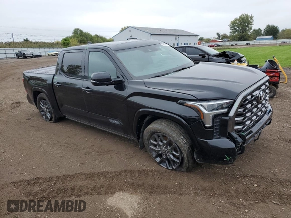 2022 Toyota Tundra Platinum with VIN 5TFNA5DB9NX028910, listed as a Copart auction lot 73638914 with 25,404 mi miles and Salvage title. Bid and sale history available at DreamBid. Image 4.