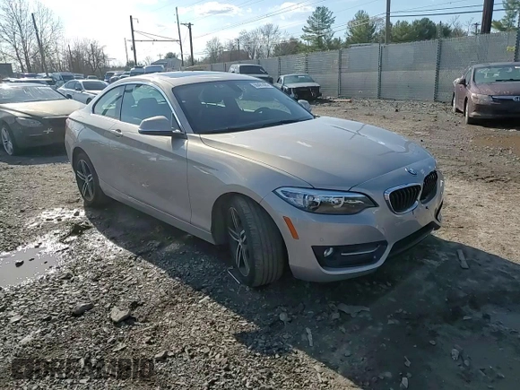 2017 BMW 2 Series 230i with VIN WBA2F9C58HV664464, listed as a Copart auction lot 50491425 with 36,290 mi miles and Salvage title. Bid and sale history available at DreamBid. Image 10.