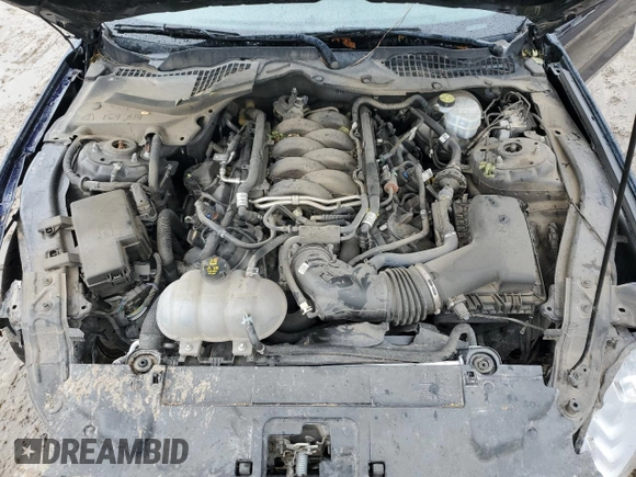 2021 Ford Mustang GT with VIN 1FA6P8CF8M5145208, listed as a Copart auction lot 77495384 with 15,830 mi miles and Salvage title. Bid and sale history available at DreamBid. Image 12.