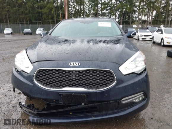 2015 Kia K900 Luxury with VIN KNALW4D42F6022892, listed as a IAAI auction lot 41965389 with 46,294 mi miles. Bid and sale history available at carsss.com. Image 12.