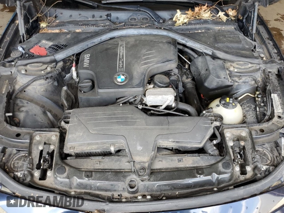 2014 BMW 3 Series 320i with VIN WBA3B1G5XENT00747, listed as a Copart auction lot 64737935 with 123,374 mi miles and Salvage title. Bid and sale history available at DreamBid. Image 11.