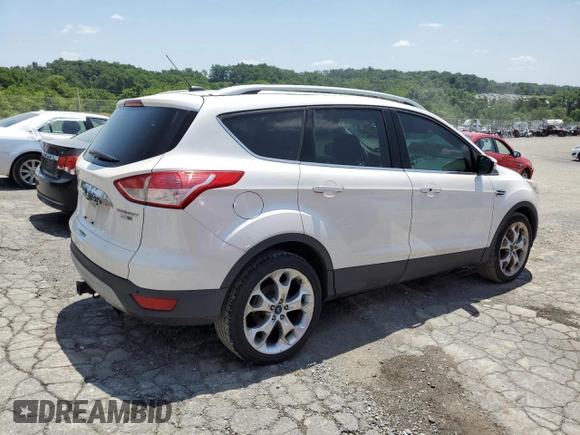 2016 Ford Escape Titanium with VIN 1FMCU9J96GUA48071, listed as a Copart auction lot 60742815 with 193,100 mi miles and Salvage title. Bid and sale history available at DreamBid. Image 3.