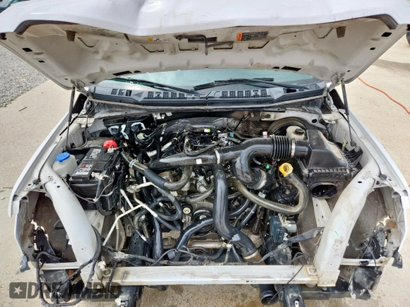2019 Ford F-150 XL with VIN 1FTEW1CP6KKD96400, listed as a Copart auction lot 59563885 with 159,625 mi miles and Salvage title. Bid and sale history available at DreamBid. Image 11.