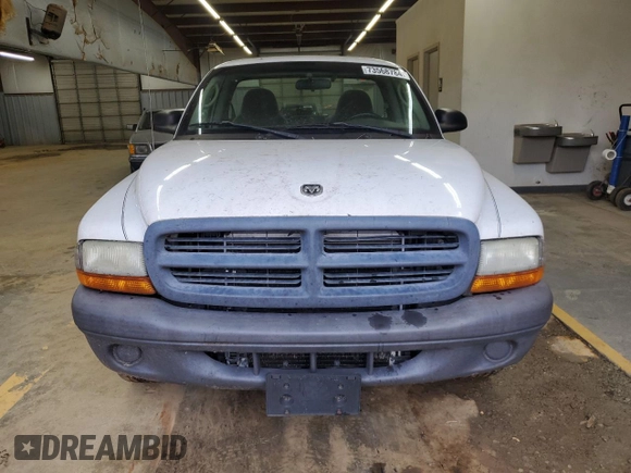 2003 Dodge Dakota with VIN 1D7FL16X73S307529, listed as a Copart auction lot 73568784 with 314,924 mi miles and Salvage Title. Bid and sale history available at carsss.com. Image 5.