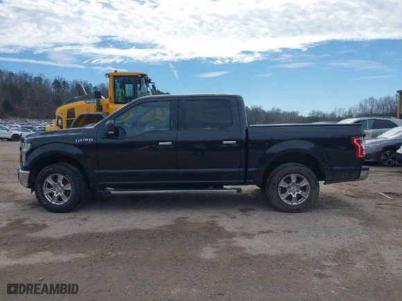 2015 Ford F-150 XLT with VIN 1FTEW1E83FFB17943, listed as a IAAI auction lot 41560117 with 117,024 mi miles. Bid and sale history available at carsss.com. Image 14.