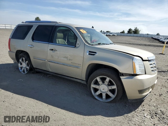 2011 Cadillac Escalade Premium with VIN 1GYS4CEF5BR138427, listed as a Copart auction lot 53430845 with Not provided miles and Salvage title. Bid and sale history available at DreamBid. Image 4.