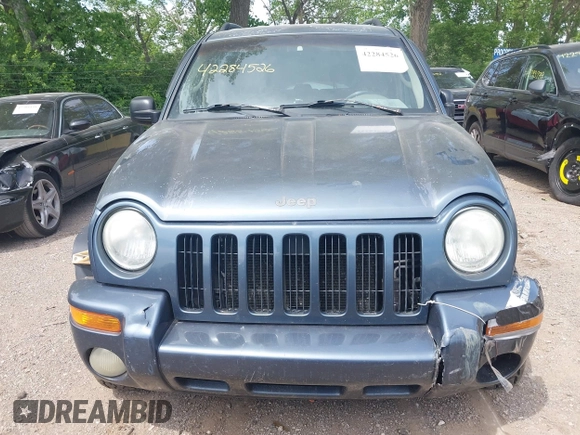 2002 Jeep Liberty Limited z VIN 1J4GL58KX2W339237, wystawiony jako IAAI lot #42284526 z przebiegiem 183 416 mil mil oraz . Historia ofert i sprzedaży dostępna na DreamBid. Obrazek 12.