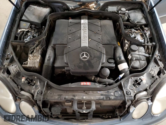 2004 Mercedes-Benz E-Class 5.0L with VIN WDBUF70J44A510089, listed as a Copart auction lot 52993345 with 0 mi miles and Clean Title. Bid and sale history available at carsss.com. Image 11.