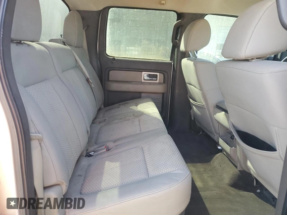 2010 Ford F-150 XL with VIN 1FTEW1C82AFD04120, listed as a Copart auction lot 48870955 with 209,719 mi miles and Salvage Title. Bid and sale history available at carsss.com. Image 10.