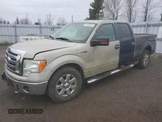 2009 Ford F-150 XL z VIN 1FTRW14869FA71127, wystawiony jako Copart lot #81552544 z przebiegiem Nie podano mil oraz Szkoda całkowita • Salvage title. Historia ofert i sprzedaży dostępna na DreamBid. Obrazek 1.