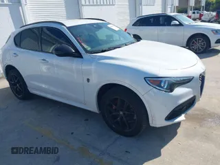 2020 Alfa Romeo Stelvio Sport z VIN ZASPAJAN4L7C75093, wystawiony jako IAAI lot #41900812 z przebiegiem 56 888 mil mil oraz . Historia ofert i sprzedaży dostępna na DreamBid. Obrazek 1.