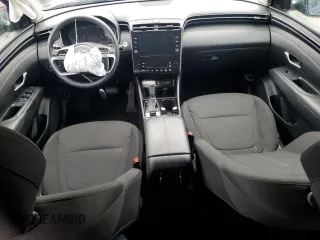 2024 Hyundai Tucson SEL with VIN 5NMJB3DE2RH300142, listed as a Copart auction lot 42783485 with Not Provided miles and Non Repairable. Bid and sale history available at DreamBid. Image 8.