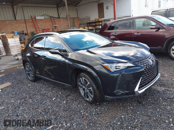 2021 Lexus UX 250h with VIN JTHX9JBHXM2042844, listed as a IAAI auction lot 41213573 with 31,650 mi miles and . Bid and sale history available at DreamBid. Image 1.