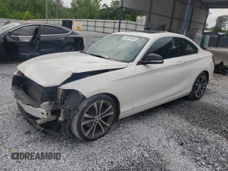 2015 BMW 2 Series 228i with VIN WBA1F5C56FV257311, listed as a Copart auction lot 54824555 with 119,891 mi miles and Salvage title. Bid and sale history available at DreamBid. Image 1.