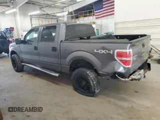 2010 Ford F-150 XL with VIN 1FTFW1EV5AKE16361, listed as a Copart auction lot 49160425 with 125,483 mi miles and Non Repairable. Bid and sale history available at carsss.com. Image 2.
