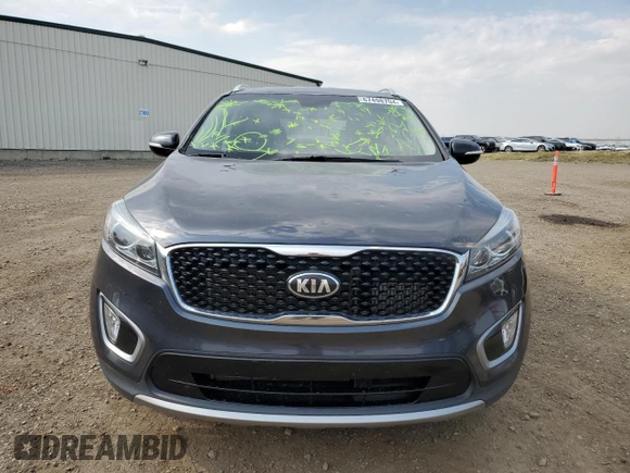 2017 Kia Sorento EX with VIN 5XYPHDA18HG269259, listed as a Copart auction lot 67498704 with 133,620 mi miles and Clean Title. Bid and sale history available at carsss.com. Image 5.