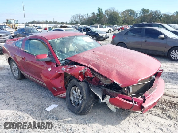2006 Ford Mustang Standard with VIN 1ZVFT80N165150848, listed as a IAAI auction lot 40840939 with 208,924 mi miles and . Bid and sale history available at DreamBid. Image 6.