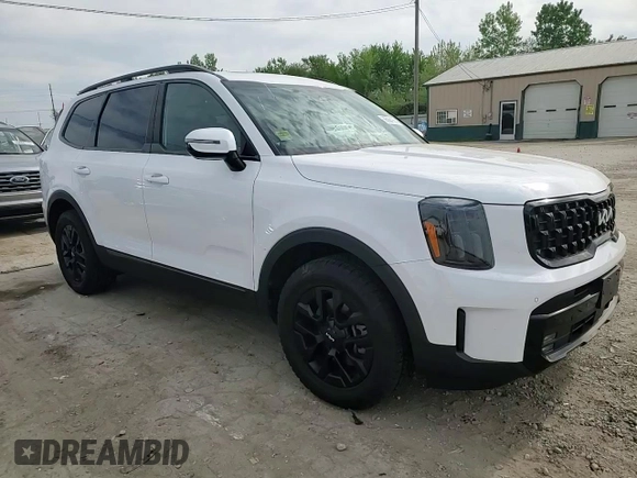 2024 Kia Telluride SX Prestige X-Pro with VIN 5XYP5DGC7RG515009, listed as a Copart auction lot 56064165 with 27,169 mi miles and Salvage title. Bid and sale history available at DreamBid. Image 13.