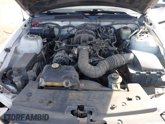 2008 Ford Mustang Deluxe with VIN 1ZVHT80NX85158801, listed as a IAAI auction lot 42015572 with 184,920 mi miles. Bid and sale history available at carsss.com. Image 10.