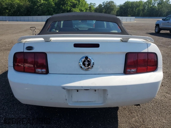 2005 Ford Mustang Deluxe with VIN 1ZVFT84N755194037, listed as a Copart auction lot 61485405 with Not provided miles and Salvage title. Bid and sale history available at DreamBid. Image 6.