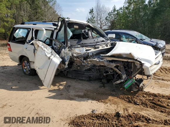 2007 Ford Expedition Limited with VIN 1FMFU19577LA46206, listed as a Copart auction lot 48800465 with Not provided miles and Salvage title. Bid and sale history available at DreamBid. Image 4.