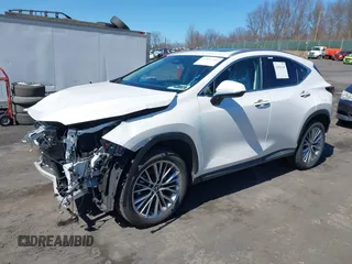 2025 Lexus NX with VIN 2T2GGCEZ1SC067262, listed as a IAAI auction lot 41856760 with 4,217 mi miles. Bid and sale history available at carsss.com. Image 17.