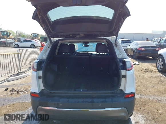 2019 Jeep Cherokee Limited with VIN 1C4PJLDBXKD487843, listed as a IAAI auction lot 41979449 with 104,545 mi miles. Bid and sale history available at carsss.com. Image 17.