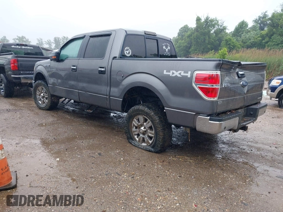 2012 Ford F-150 XL with VIN 1FTFW1EF9CFB92323, listed as a IAAI auction lot 42312910 with Not provided miles and . Bid and sale history available at DreamBid. Image 3.
