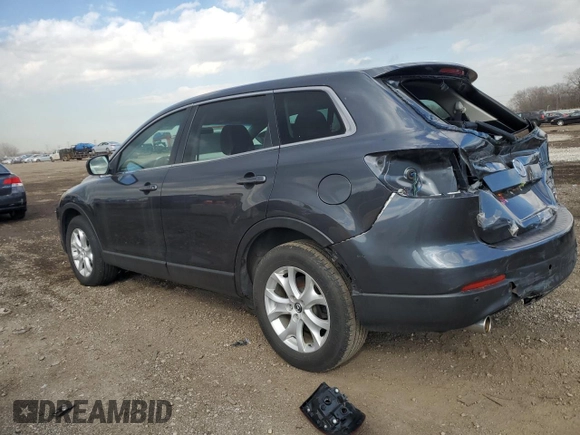 2013 Mazda CX-9 Touring with VIN JM3TB3CV8D0420960, listed as a Copart auction lot 49150925 with 146,593 mi miles and Salvage Title. Bid and sale history available at carsss.com. Image 2.