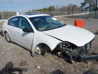 2004 Nissan Maxima SL with VIN 1N4BA41E54C839370, listed as a IAAI auction lot 41354983 with 215,703 mi miles. Bid and sale history available at carsss.com. Image 1.