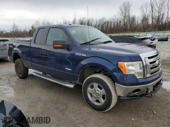 2011 Ford F-150 XL with VIN 1FTFX1ET8BFC87344, listed as a Copart auction lot 46576495 with 126,027 mi miles and Salvage Title. Bid and sale history available at carsss.com. Image 4.