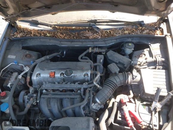 2010 Honda Accord LX with VIN 1HGCP2F33AA173224, listed as a IAAI auction lot 42523326 with 139,893 mi miles and . Bid and sale history available at DreamBid. Image 10.