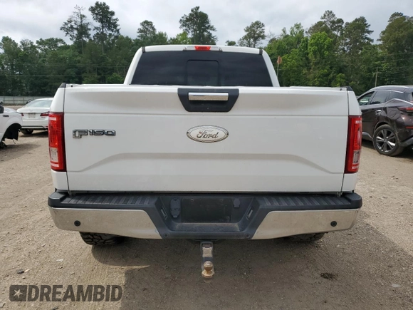 2015 Ford F-150 XL with VIN 1FTEW1CGXFFC46692, listed as a Copart auction lot 55755885 with 132,151 mi miles and Salvage title. Bid and sale history available at DreamBid. Image 6.
