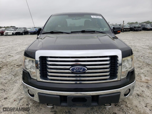 2010 Ford F-150 XL with VIN 1FTEX1E87AFD63996, listed as a Copart auction lot 51185345 with 181,988 mi miles and Clean Title. Bid and sale history available at carsss.com. Image 5.