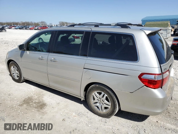 2005 Honda Odyssey EX-L with VIN 5FNRL38675B411705, listed as a Copart auction lot 50131575 with 142,480 mi miles and Salvage Title. Bid and sale history available at carsss.com. Image 2.