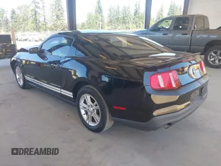 2011 Ford Mustang V6 с VIN 1ZVBP8AM6B5105584, выставлен на аукционе IAAI как лот 42686108 с пробегом 143 296 миль миль и . История ставок и продаж доступна на DreamBid. Изображение 3.