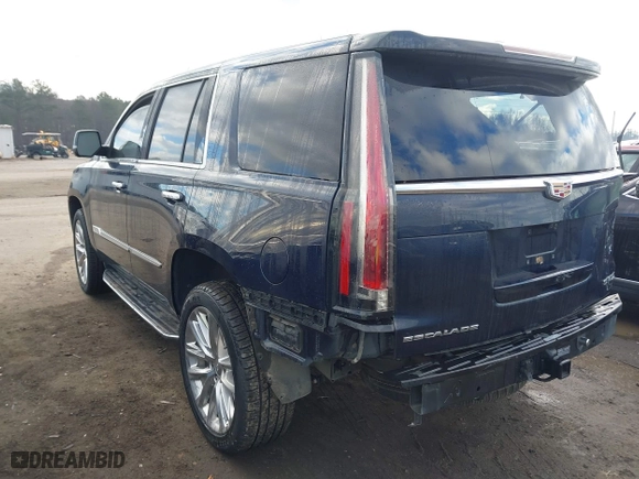 2019 Cadillac Escalade Luxury with VIN 1GYS3BKJXKR346874, listed as a IAAI auction lot 41212250 with 56,221 mi miles. Bid and sale history available at carsss.com. Image 3.