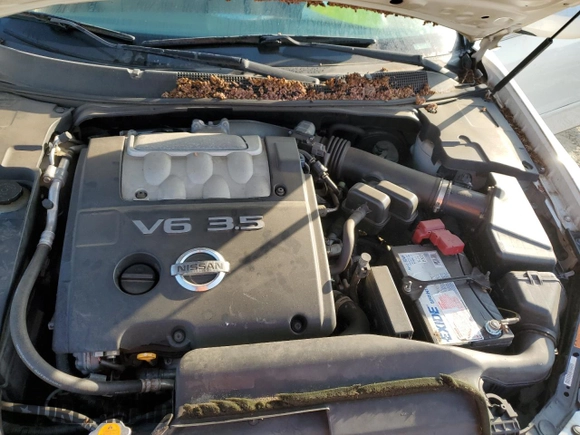 2006 Nissan Maxima 3.5 SE with VIN 1N4BA41E66C833869, listed as a Copart auction lot 69071744 with 103,854 mi miles and Salvage Title. Bid and sale history available at carsss.com. Image 11.