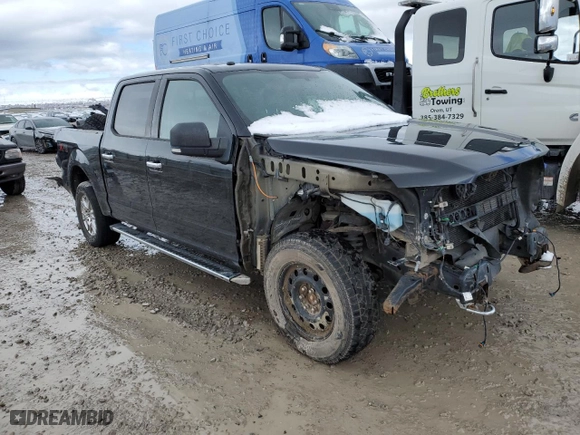 2016 Ford F-150 XLT with VIN 1FTEW1EF9GFC77339, listed as a Copart auction lot 49660245 with 101,062 mi miles and Salvage Title. Bid and sale history available at carsss.com. Image 4.
