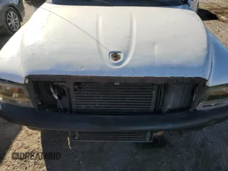 1999 Dodge Dakota SLT with VIN 1B7GL22XXXS142379, listed as a Copart auction lot 88269495 with 0 mi miles and Salvage Title. Bid and sale history available at carsss.com. Image 11.
