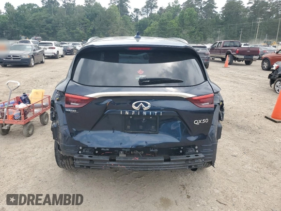 2019 Infiniti QX50 Luxe with VIN 3PCAJ5M14KF142261, listed as a Copart auction lot 55122875 with 125,200 mi miles and Salvage title. Bid and sale history available at DreamBid. Image 6.