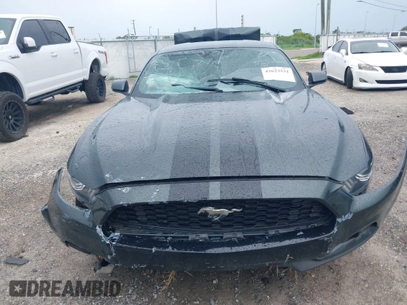 2015 Ford Mustang V6 with VIN 1FA6P8AM3F5344333, listed as a IAAI auction lot 42623531 with 121,278 mi miles and . Bid and sale history available at DreamBid. Image 12.