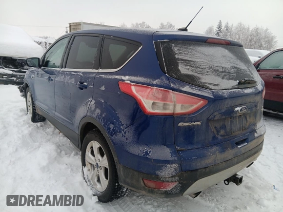 2014 Ford Escape SE with VIN 1FMCU9G90EUD25513, listed as a Copart auction lot 44211815 with 129,376 mi miles and Salvage Title. Bid and sale history available at DreamBid. Image 2.