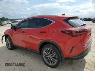 2023 Lexus NX with VIN 2T2HGCEZ6PC029652, listed as a Copart auction lot 75674103 with 6,331 mi miles. Bid and sale history available at carsss.com. Image 2.