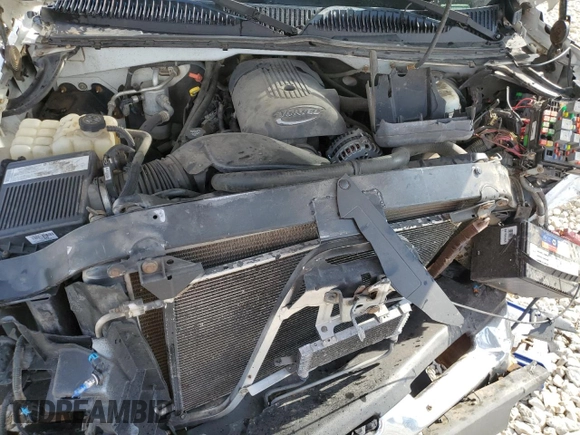 2005 Chevrolet Silverado 1500 with VIN 1GCEK19V45E270119, listed as a Copart auction lot 49972004 with 0 mi miles and Salvage Title. Bid and sale history available at carsss.com. Image 11.