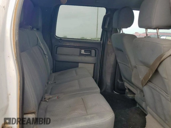 2013 Ford F-150 XL with VIN 1FTFW1EF8DFA45783, listed as a Copart auction lot 64494215 with 194,441 mi miles and Clean title. Bid and sale history available at DreamBid. Image 10.