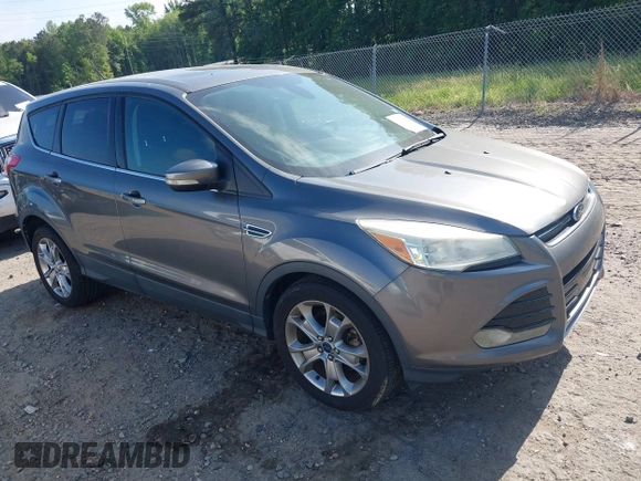 2013 Ford Escape SEL with VIN 1FMCU0H9XDUA14051, listed as a IAAI auction lot 42171703 with 193,988 mi miles. Bid and sale history available at carsss.com. Image 1.